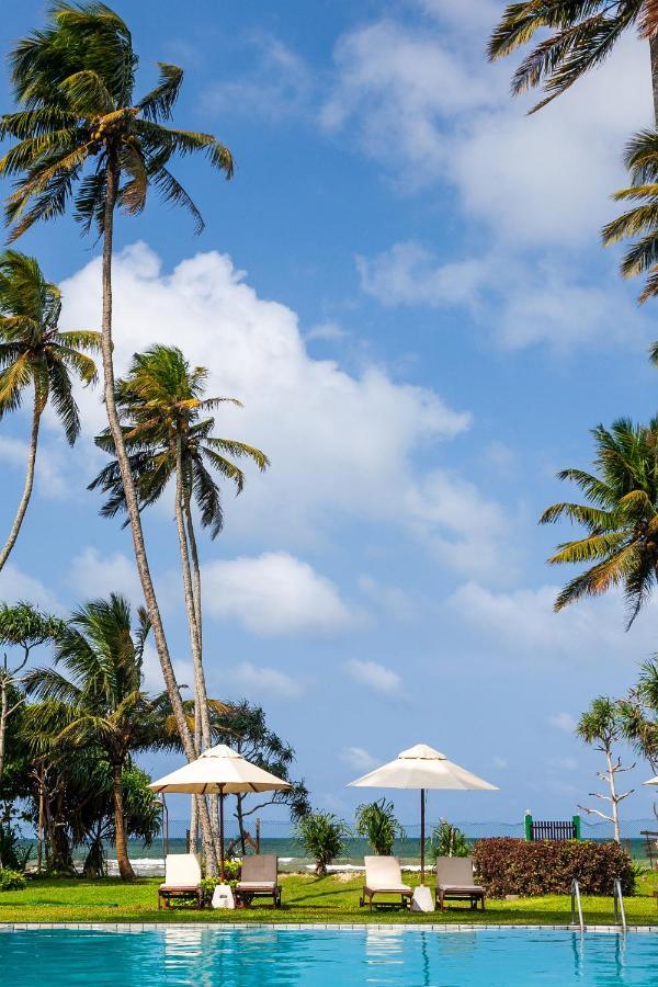 Crystal Villa Велигама Экстерьер фото